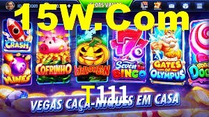 Programa VIP T111