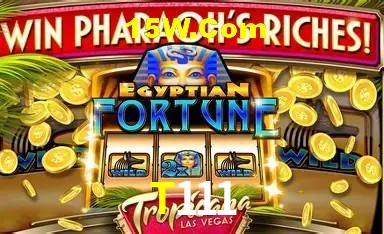 Recursos de Bônus T111