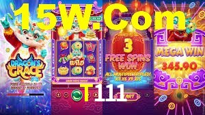 Premium Interface T111