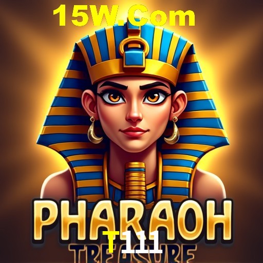 Flash Promotion T111