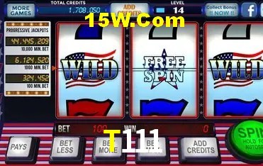 Gates of Olympus T111